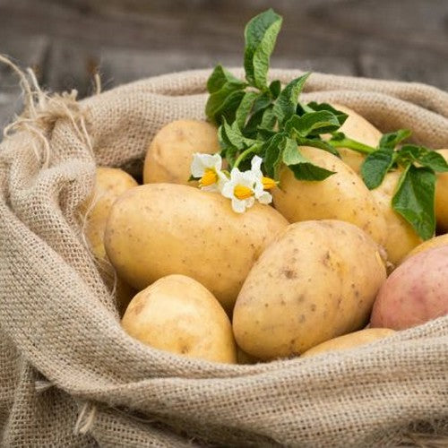 Come conservare le patate