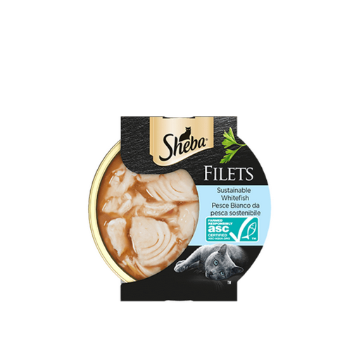 Sheba Filets per Gatti con Pesce Bianco da Pesca Sostenibile Gr.60