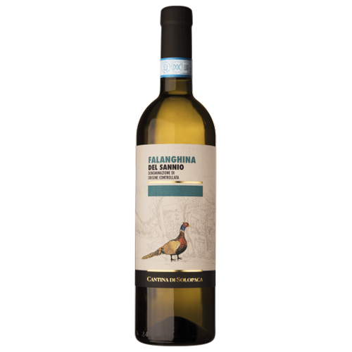 Vino Falanghina del Sannio DOC Cantine di Solopaca cl.75