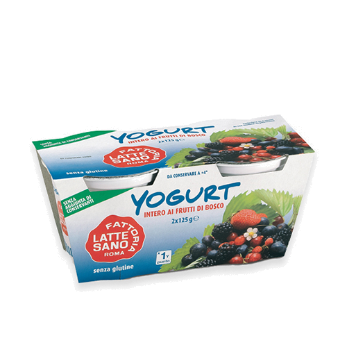 Yogurt Latte Sano Intero ai Frutti di Bosco 2 x 125 gr. - Magastore.it