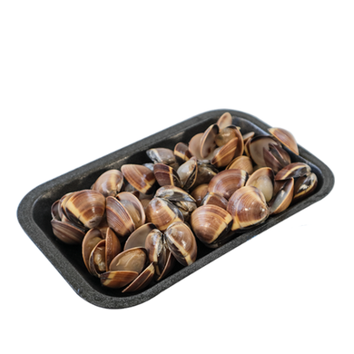 Vongole con Guscio Surgelate gr500 - Magastore.it