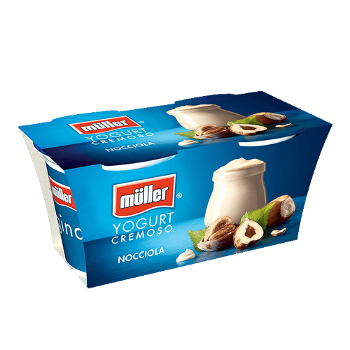 Yogurt Müller alla nocciola cremoso intero 2 x gr.125 - Magastore.it