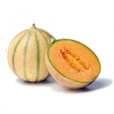 Melone Francesino Kg.2 circa - Magastore.it